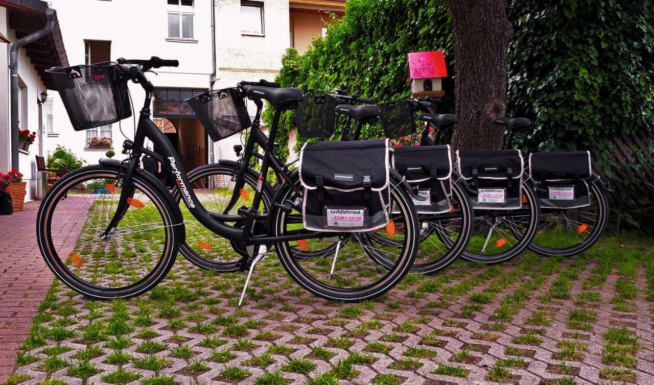 Pension Zum Birnbaum Brandenburg  Екстер'єр фото
