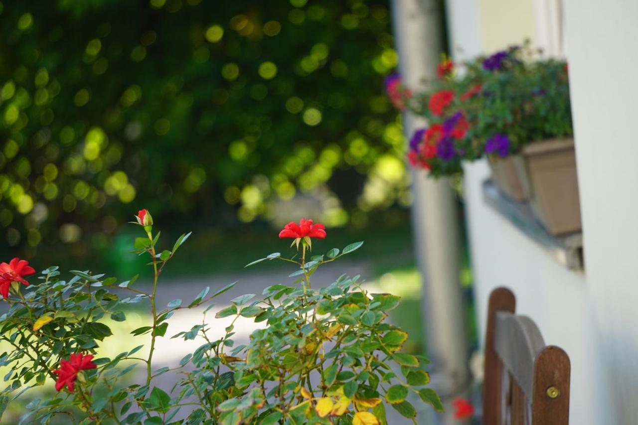 Pension Zum Birnbaum Brandenburg  Екстер'єр фото